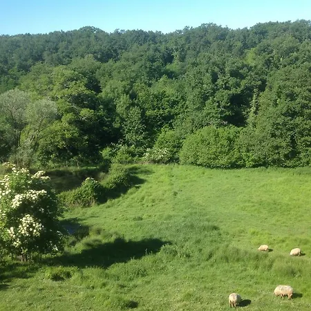 Le Chateau De Sauros * Bazas